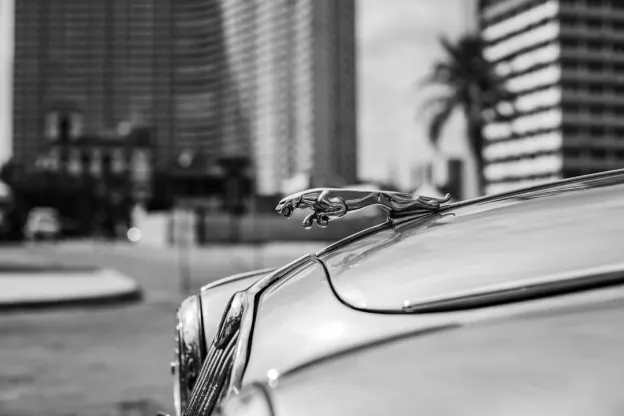 Kazoom Kasino Apl Android/iOS